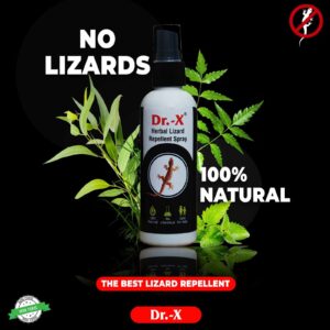herbal lizard repellent spray by dr x